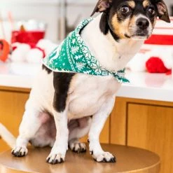 Budget ✨ Pink Lily Pet Underneath The Tree Green ❄ Christmas Print Bandana 😉
