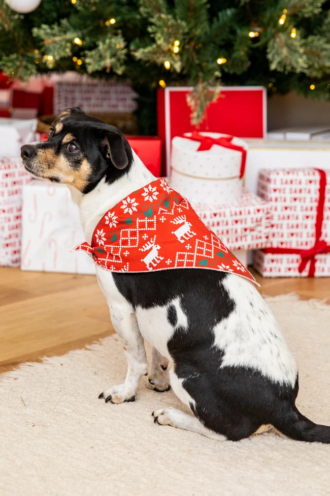 Deals β Pink Lily Home For The Holidays Red π Christmas Print Pet Bandana π 3 Deals β Pink Lily Home For The Holidays Red π Christmas Print Pet Bandana π