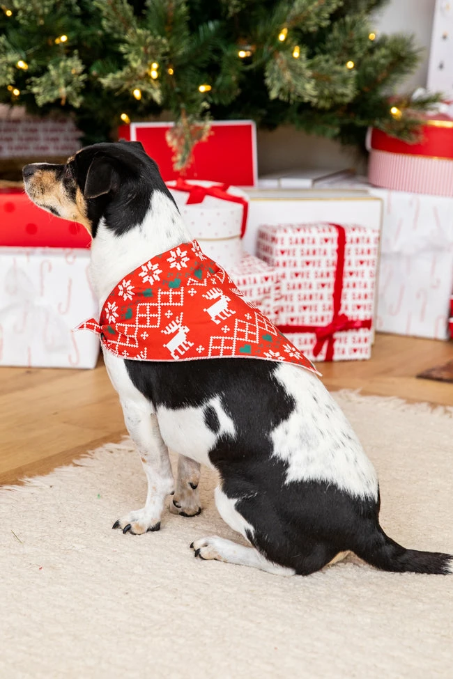 Deals β Pink Lily Home For The Holidays Red π Christmas Print Pet Bandana π 4 Deals β Pink Lily Home For The Holidays Red π Christmas Print Pet Bandana π - Image 2