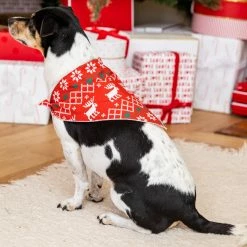 Deals β Pink Lily Home For The Holidays Red π Christmas Print Pet Bandana π 7 Deals β Pink Lily Home For The Holidays Red π Christmas Print Pet Bandana π -Glam-girl Sales 185718 3 650x