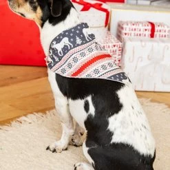 Buy 🧨 Pink Lily Holly And Jolly Charcoal 🎅 Christmas Print Pet Bandana 💯